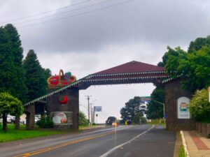 Festa Nacional da Maçã 2022: Programação Completa e Ingressos